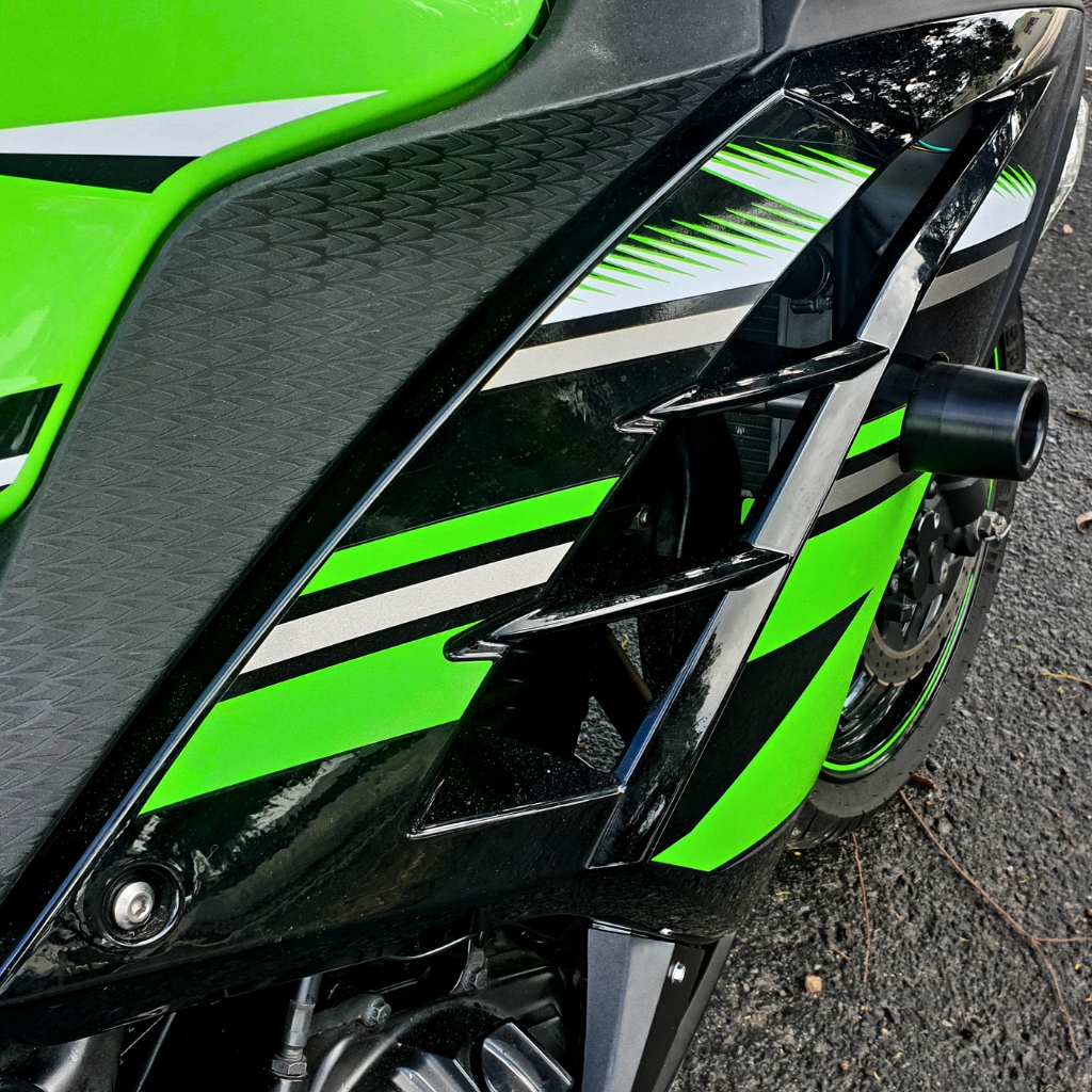 Kawasaki ninja 300 shop 2008