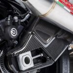 GFP Carbon Fiber Swingarm Covers - BMW S1000R 2014-2019