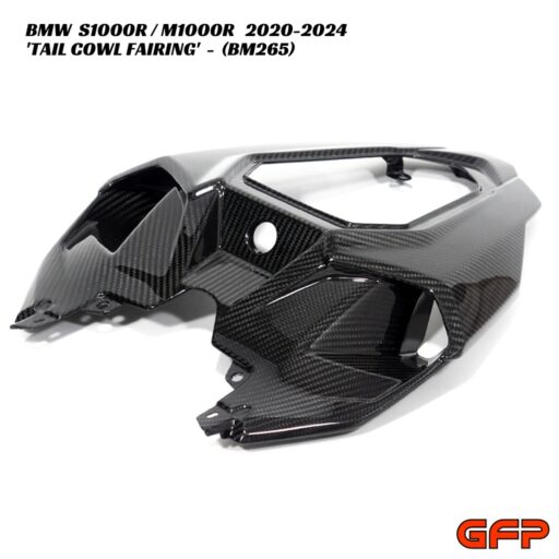 GFP Carbon Fiber Tail Cowl Fairing - BMW S1000R / M1000R 2020-2024