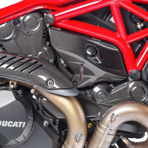 GFP Carbon Fiber Timing Belt Covers - Ducati Monster 821 / 1200 2014-2020