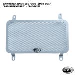 R&G Racing Radiator Guard - RAD0139 - Kawasaki Ninja 250R / 300 2008-2017